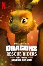 Watch Dragons: Rescue Riders: Hunt for the Golden Dragon Megashare9