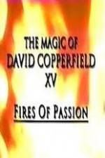 Watch The Magic of David Copperfield XV Fires of Passion Megashare9