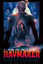 Watch Haymaker Megashare9