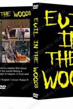 Watch Evil in the Woods Megashare9