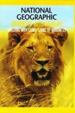 Watch National Geographic: Walking with Lions Megashare9