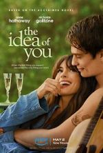 Watch The Idea of You Megashare9