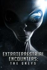 Watch Extraterrestrial Encounters: The Greys Megashare9