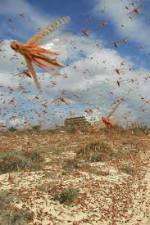 Watch Swarm Chasers: Locusts Megashare9