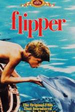 Watch Flipper Megashare9
