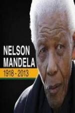 Watch Nelson Mandela: The Final Chapter Megashare9