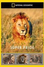 Watch National Geographic: Super Pride  Africa's Largest Lion Pride Megashare9