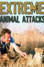 Watch Extreme Animal Attacks Megashare9