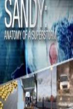 Watch Sandy Anatomy Of A Superstorm Megashare9