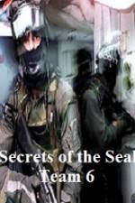 Watch Discovery Channel Secrets of Seal Team 6 Megashare9