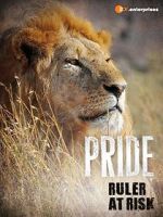 Watch Pride - Ruler\'s at Risk Megashare9