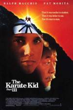 Watch The Karate Kid, Part III Megashare9