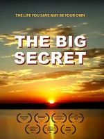 Watch The Big Secret Megashare9