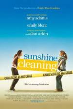 Watch Sunshine Cleaning Megashare9