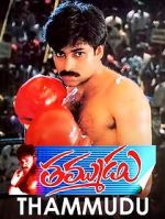 Watch Thammudu Megashare9