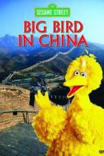 Watch Big Bird in China Megashare9