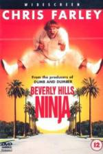 Watch Beverly Hills Ninja Megashare9