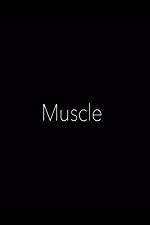 Watch Muscle Megashare9