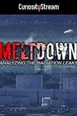 Watch Meltdown: Analyzing the Radiation Leaks Megashare9