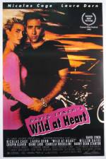 Watch Wild at Heart Megashare9