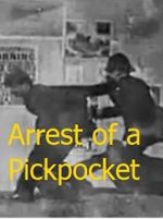 Watch The Arrest of a Pickpocket Megashare9