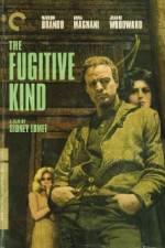 Watch The Fugitive Kind Megashare9