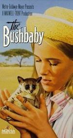 Watch The Bushbaby Megashare9