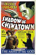 Watch Shadow of Chinatown Megashare9