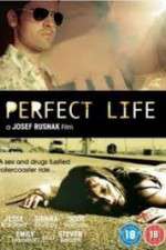 Watch Perfect Life Megashare9