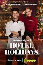 Watch Hotel for the Holidays Megashare9