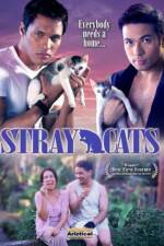 Watch Stray Cats Megashare9