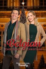 Watch A Belgian Chocolate Christmas Megashare9