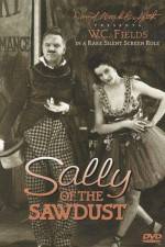 Watch Sally of the Sawdust Megashare9