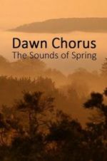 Watch Dawn Chorus: The Sounds of Spring Megashare9