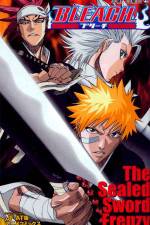 Watch Bleach: The Sealed Sword Frenzy Megashare9