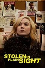 Watch Stolen in Plain Sight Megashare9