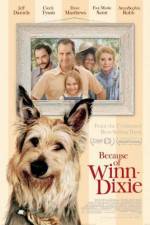 Watch Because of Winn-Dixie Megashare9