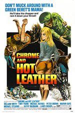 Watch Chrome and Hot Leather Megashare9