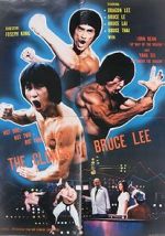 Watch The Clones of Bruce Lee Megashare9