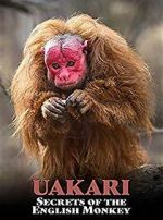 Watch Uakari: Secrets of the English Monkey Megashare9