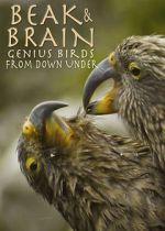 Watch Beak & Brain - Genius Birds from Down Under Megashare9