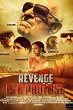 Watch Revenge Is a Promise Megashare9