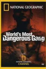 Watch National Geographic World's Most Dangerous Gang Megashare9