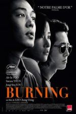 Watch Burning Megashare9