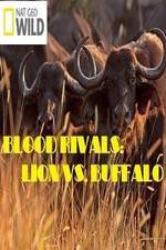 Watch National Geographic - Blood Rivals: Lion vs. Buffalo Megashare9