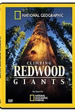 Watch National Geographic Explorer: Climbing Redwood Giants Megashare9