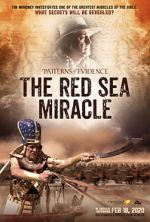 Watch Patterns of Evidence: The Red Sea Miracle Megashare9