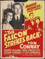 Watch The Falcon Strikes Back Megashare9