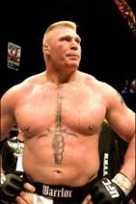 Watch Brock Lesnar 7 Fights Megashare9