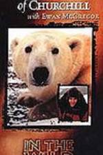 Watch The Polar Bears of Churchill with Ewan McGregor Megashare9